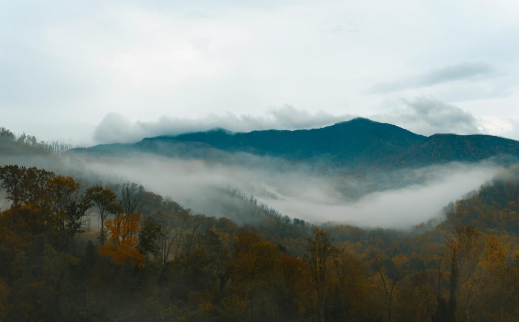 Serene mist over Smoky Mountains and autumn forest in Gatlinburg, TN.